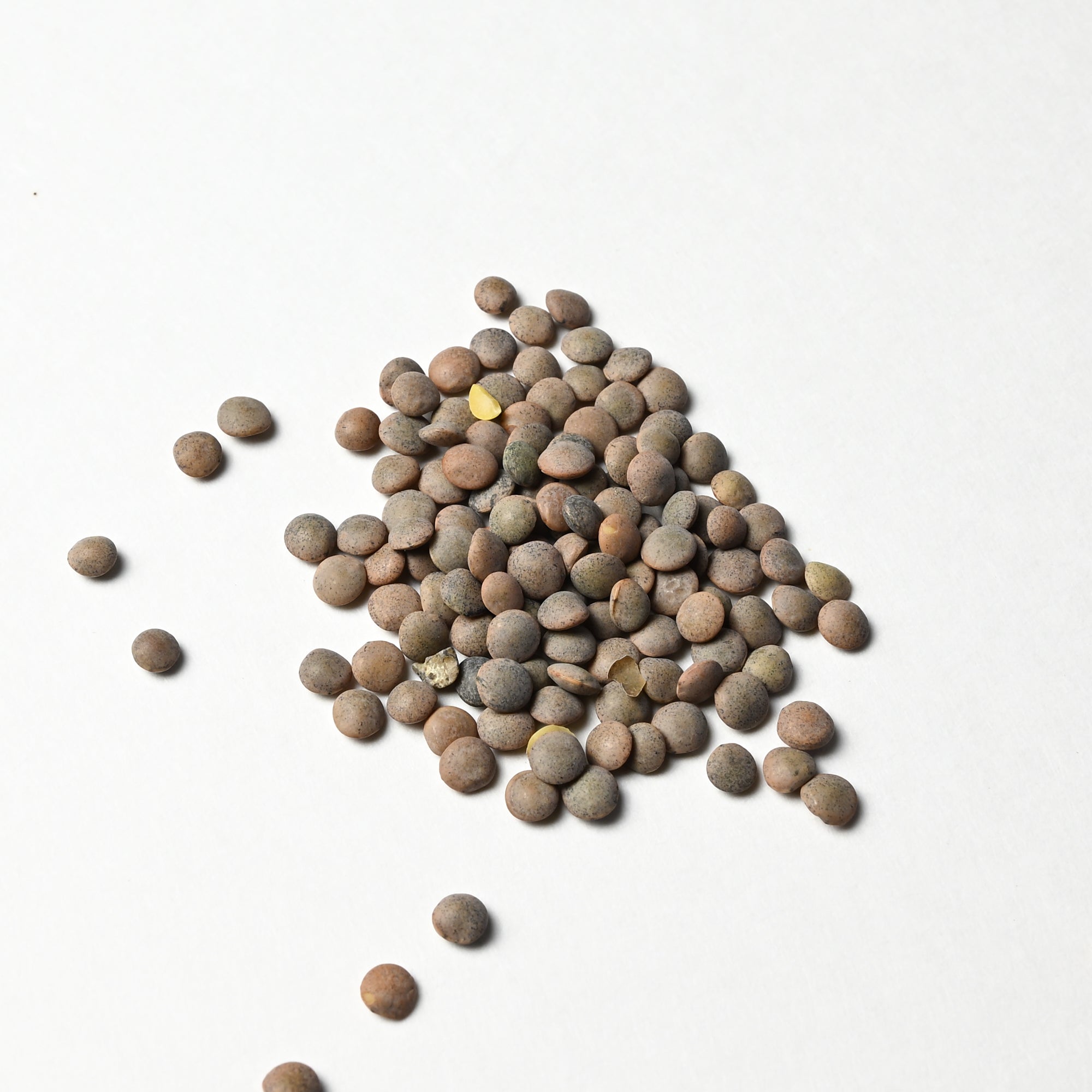 Spanish Lentils