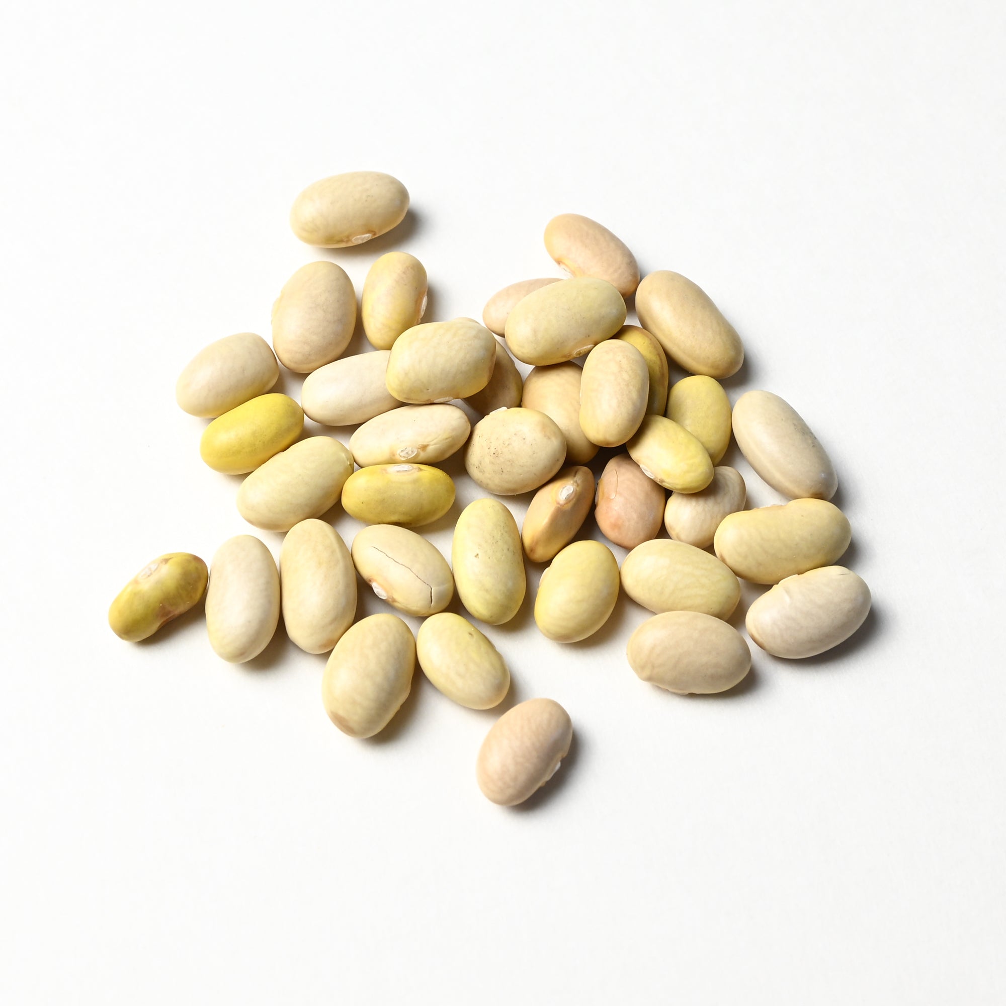 Mayacoba Beans