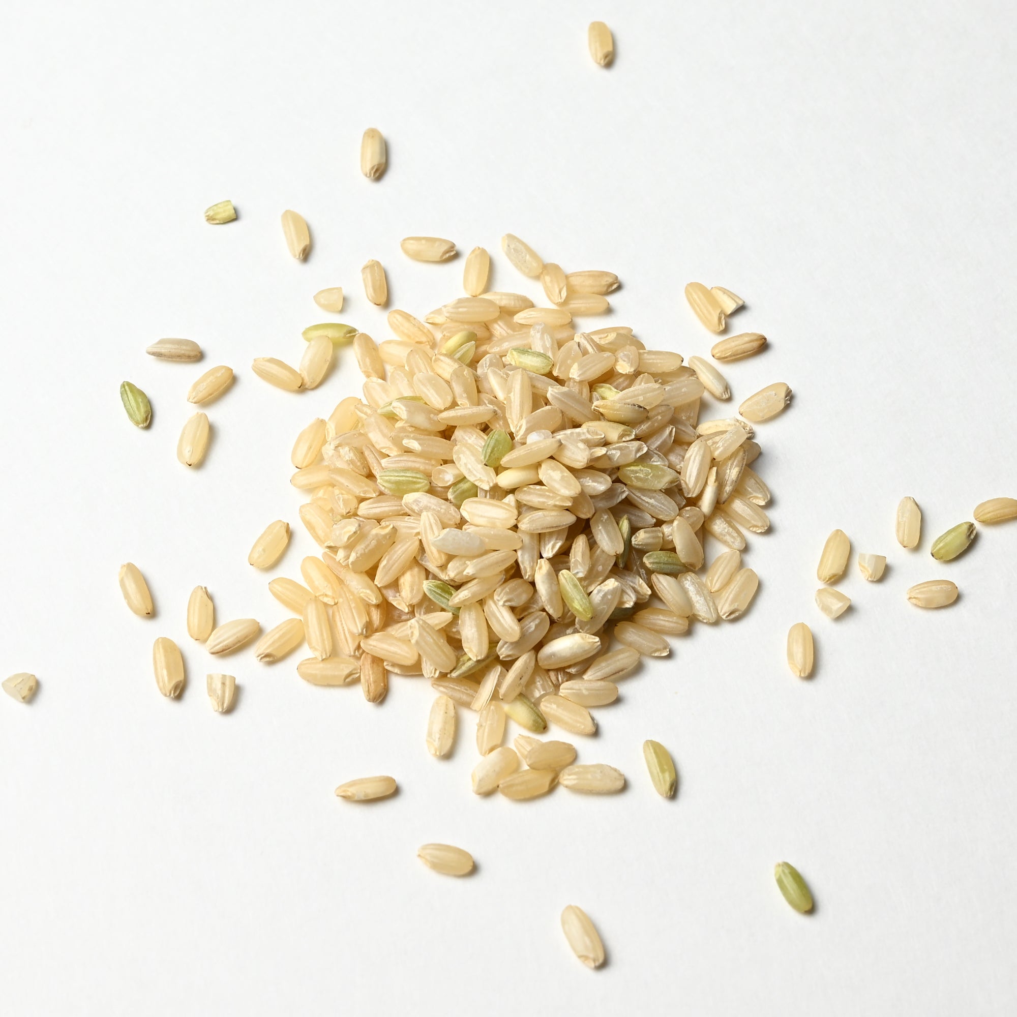 Medium Grain Brown Rice