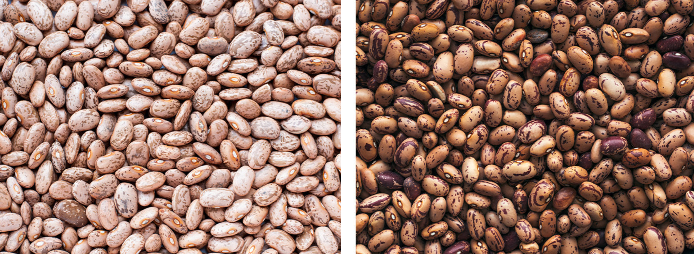 How to Soften Old Beans with Baking Soda