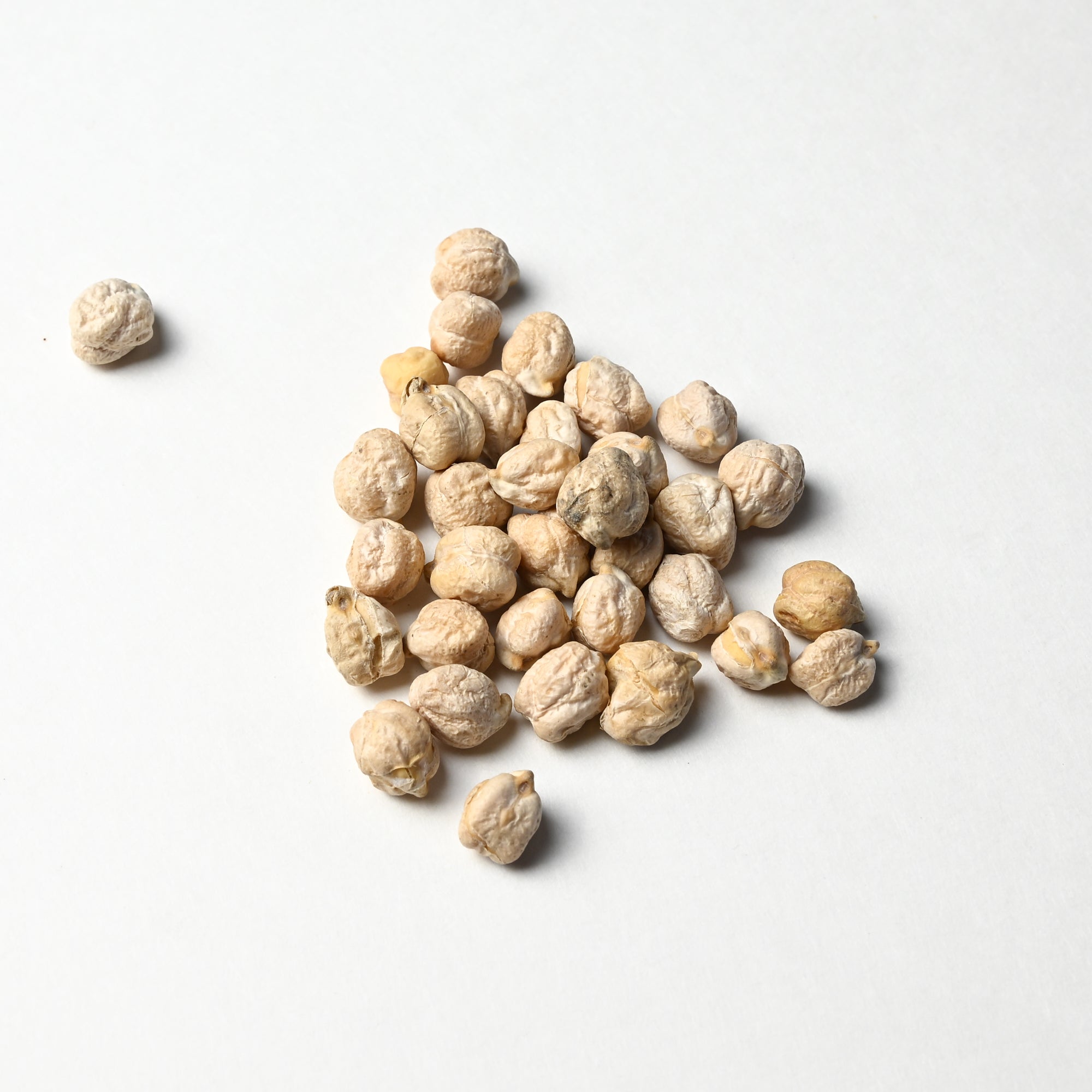 Garbanzo Beans