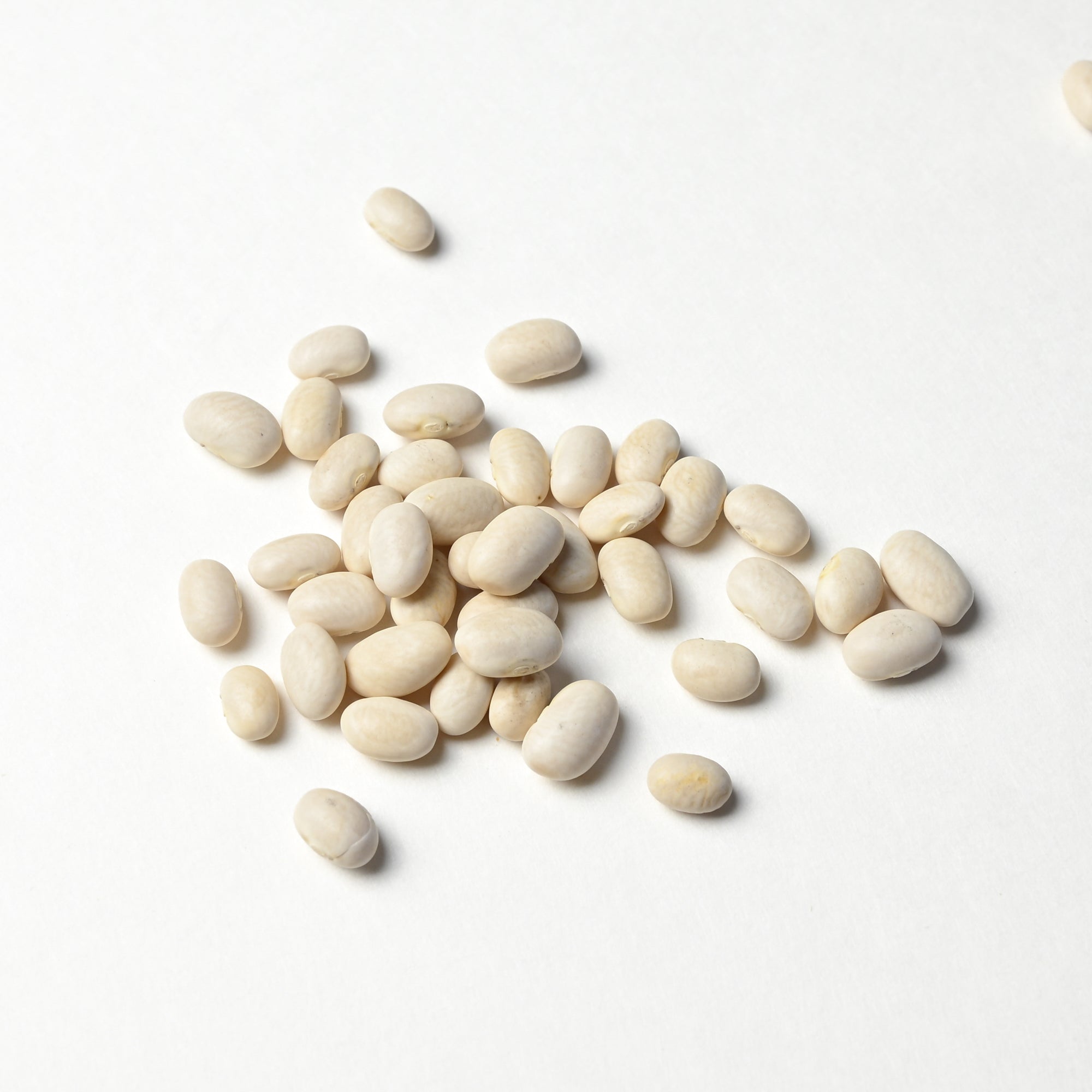 Navy Beans