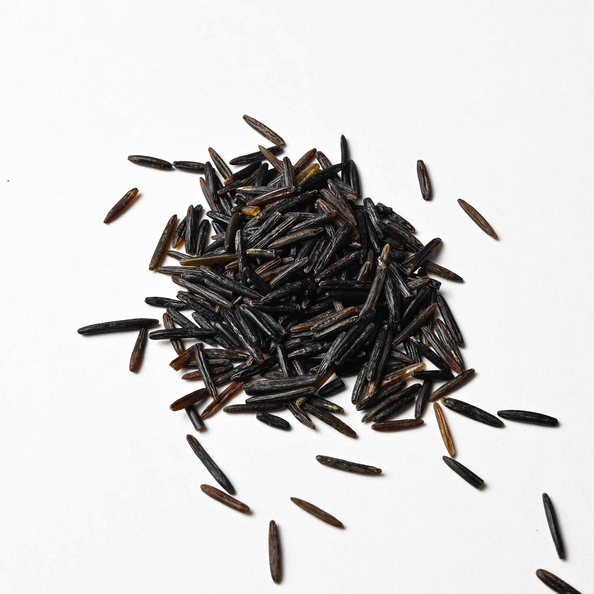Wild Rice