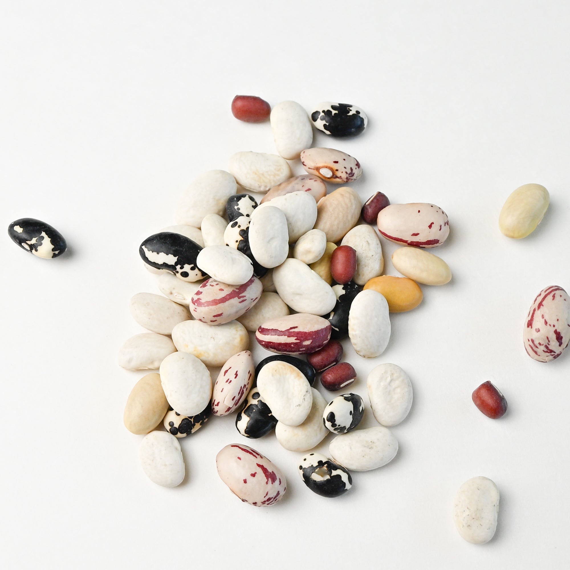 Heirloom Bean Mix