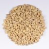Pearled Barley - Image 2