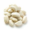 Great Northern Bean - Image 2